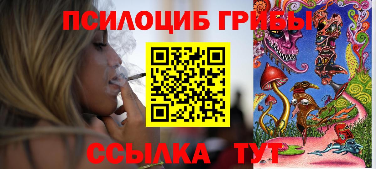 Гусев  Псилоцибиновые грибы прущие грибы  Вход с VPN 