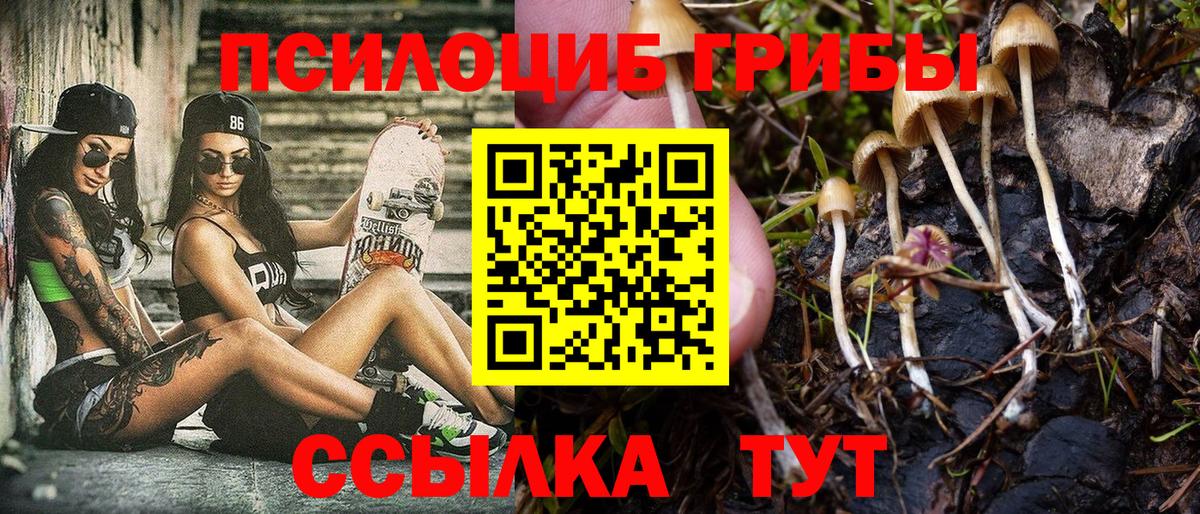 Галлюциногенные грибы GOLDEN TEACHER Гусев